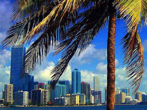Ma vie d'expat à Miami