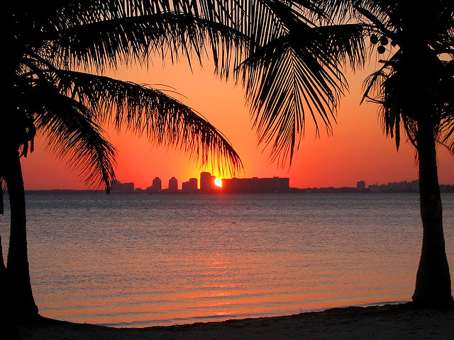 Expatriation à Miami : c'est comment ? Expatriation à Miami : c'est comment ?