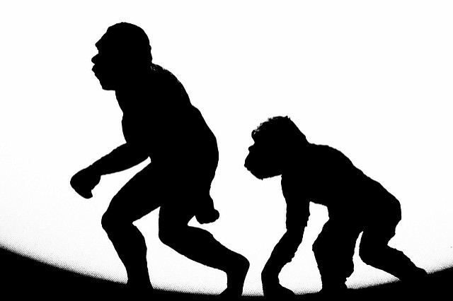 Science : l'obscurantisme qui vient Science : l'obscurantisme qui vient