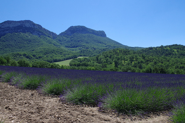 Drôme provençale by Isabelle BarrhuetCC BY-NC-ND 2.0