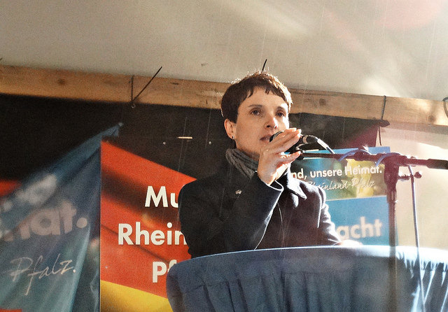 La renaissance de l’extrême droite en Allemagne La renaissance de l’extrême droite en Allemagne