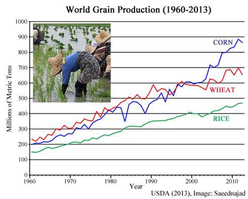La production agricole mondiale continue d’augmenter  Contrepoints