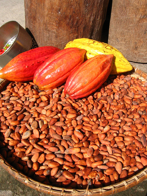 Fallaitil nationaliser la filière cacao en Côte d’Ivoire ?  Contrepoints