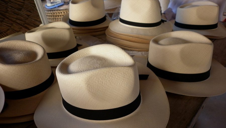 Chapeaux Panamas en paille