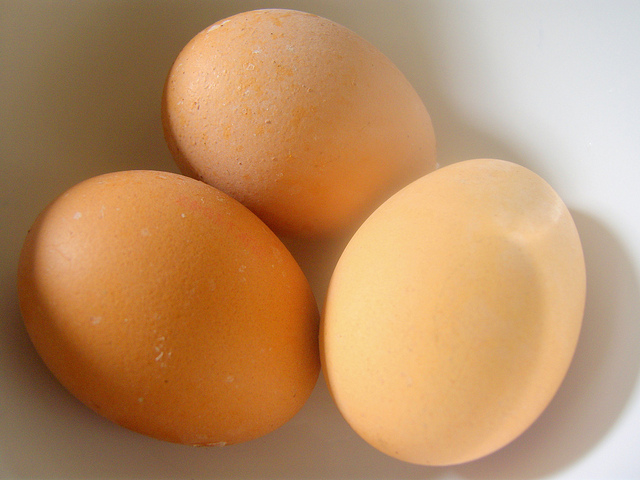 Emma Morano, doyenne de l'Humanité, 3 œufs par jour | Contrepoints