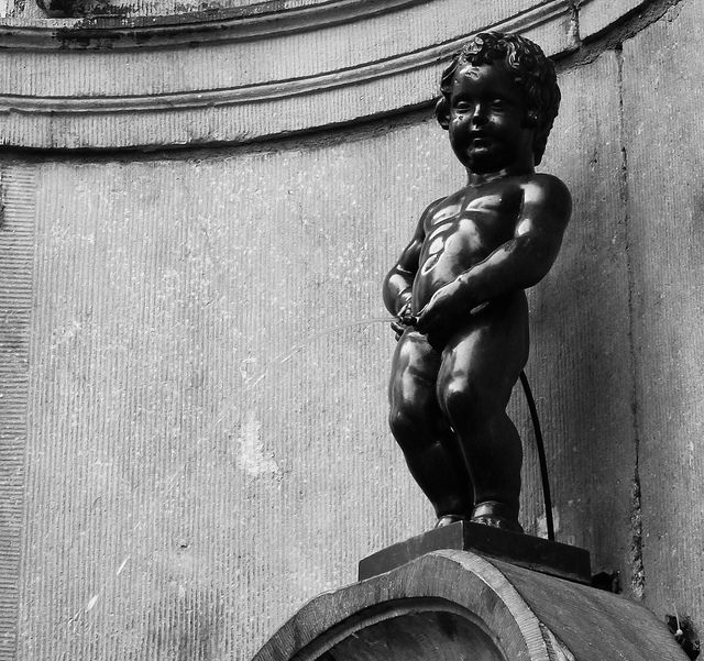 Les Belges trahis par leurs élus Les Belges trahis par leurs élus