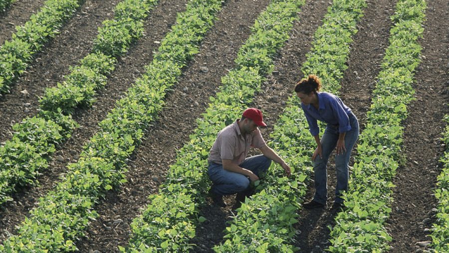 agriculteurs