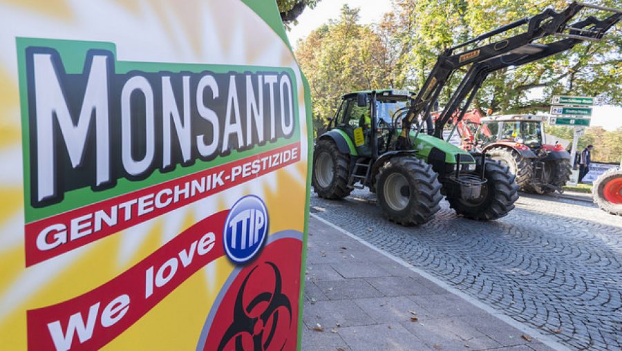 glyphosate