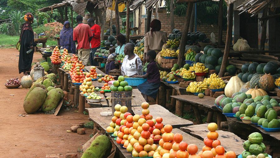 agriculture africaine