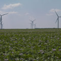 renouvelable éoliennes