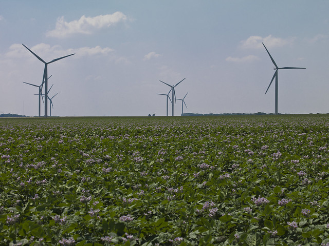 renouvelable éoliennes
