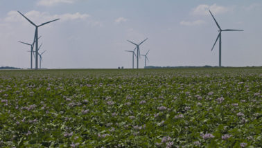 energies renouvelable éoliennes