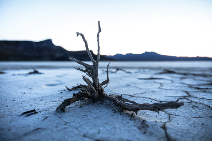 Collapsologie : ces apocalypses qui n’ont jamais eu lieu