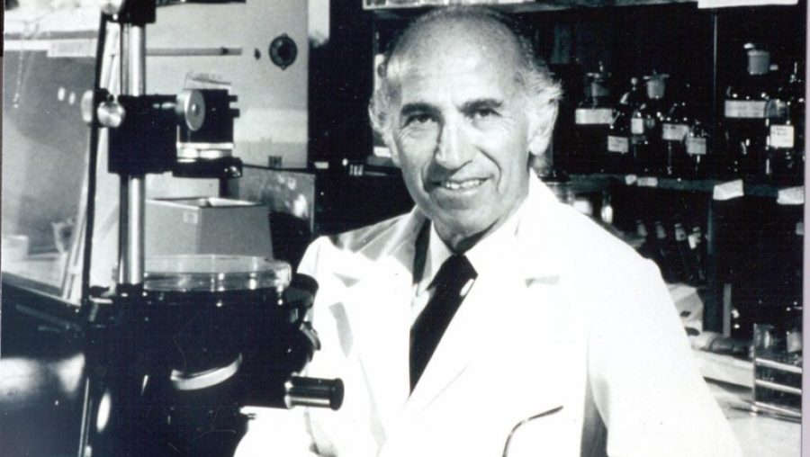 jonas salk