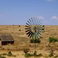 kenya