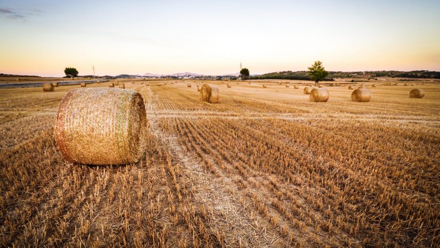 l'agro-écologie