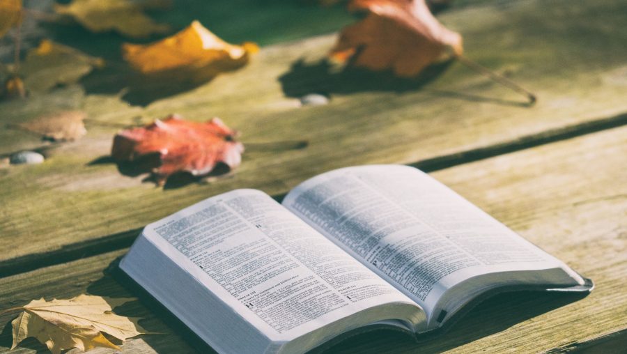conseils de lecture