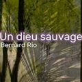 DIEU SAUVAGE