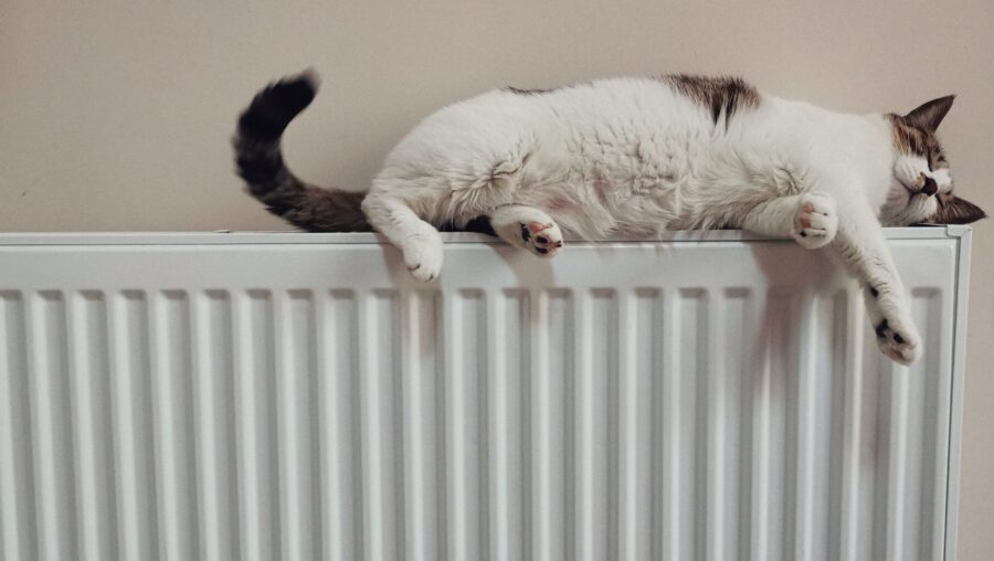 un chat qui se repose sur un radiateur